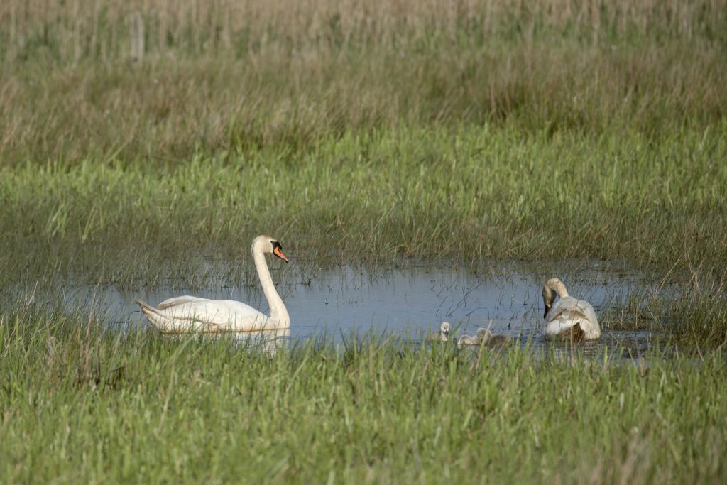 HR_2025-05-17_18-14-14_DSCF0966