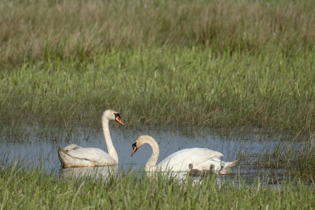 HR_2025-05-17_18-14-20_DSCF0968