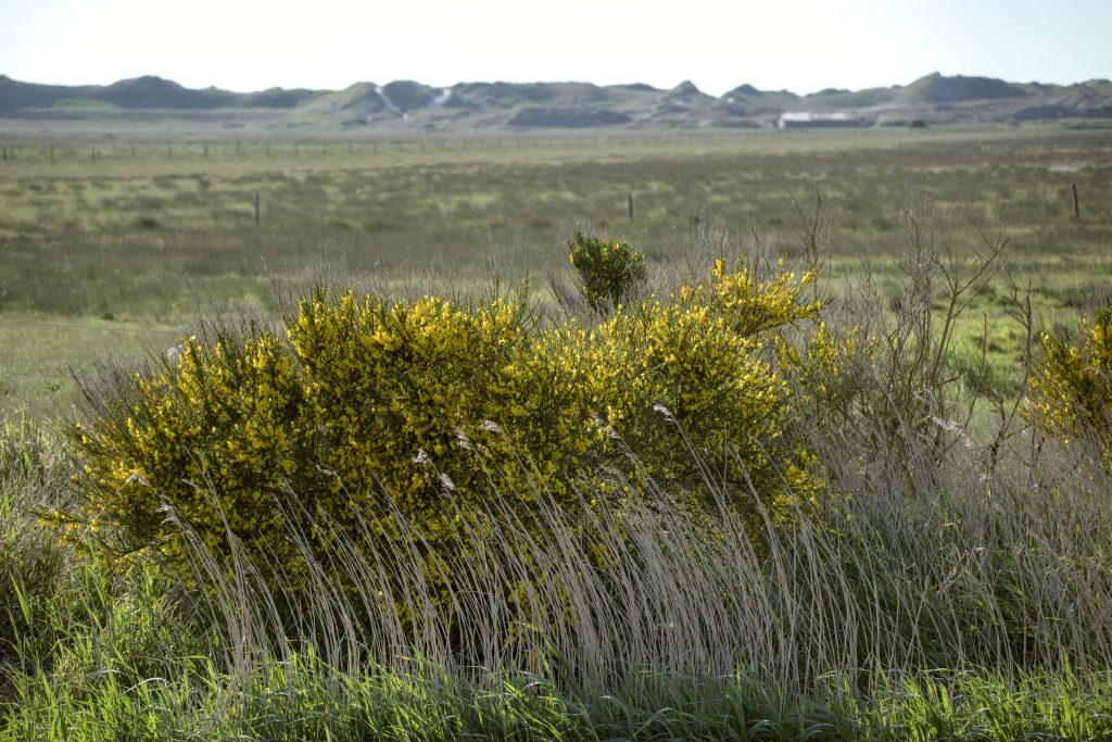 HR_2025-05-17_18-17-41_DSCF0974