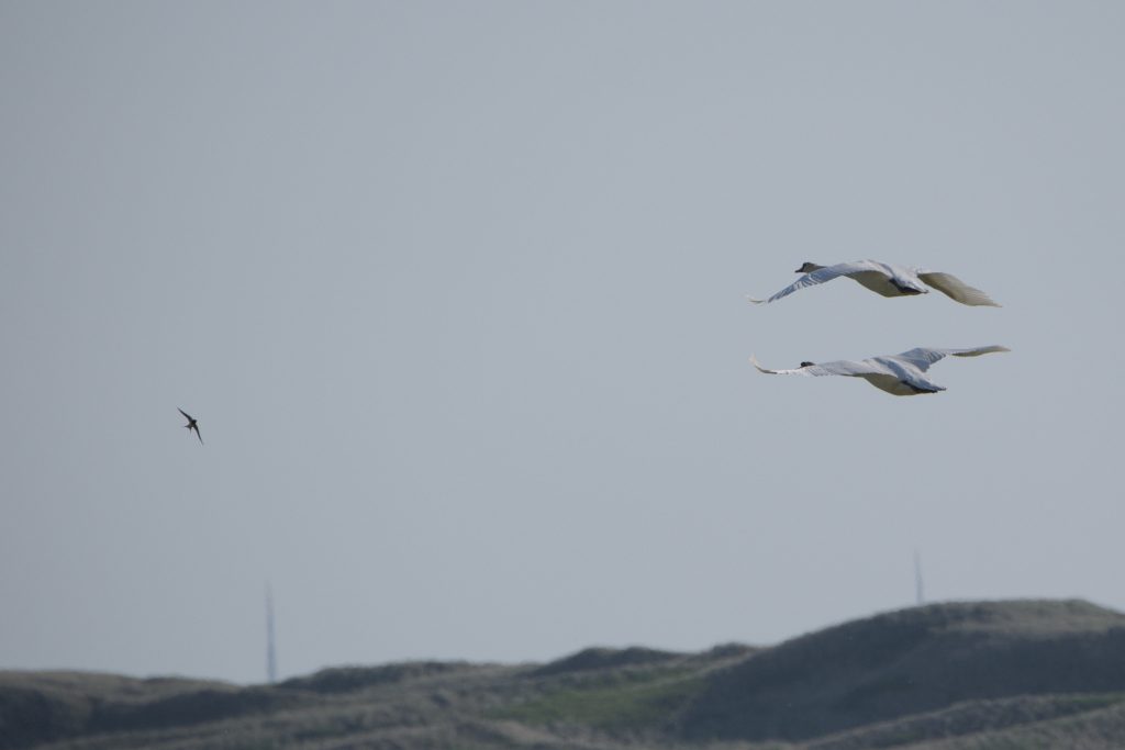 HR_2025-05-17_18-21-58_DSCF0987