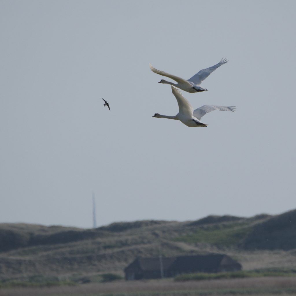 HR_2025-05-17_18-21-58_DSCF0989