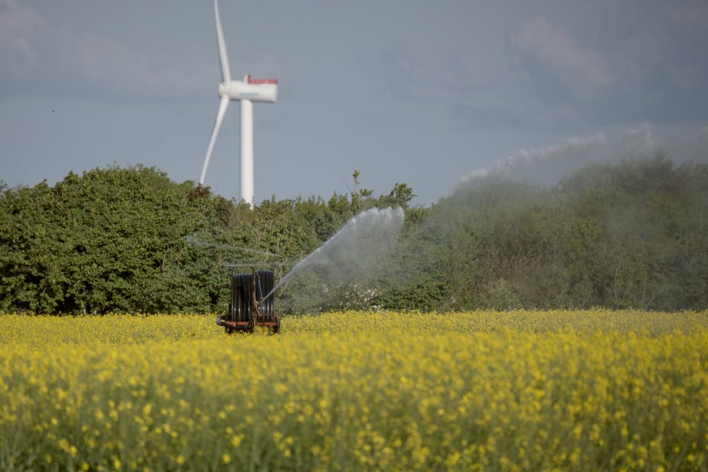 HR_2025-05-17_18-31-16_DSCF0995