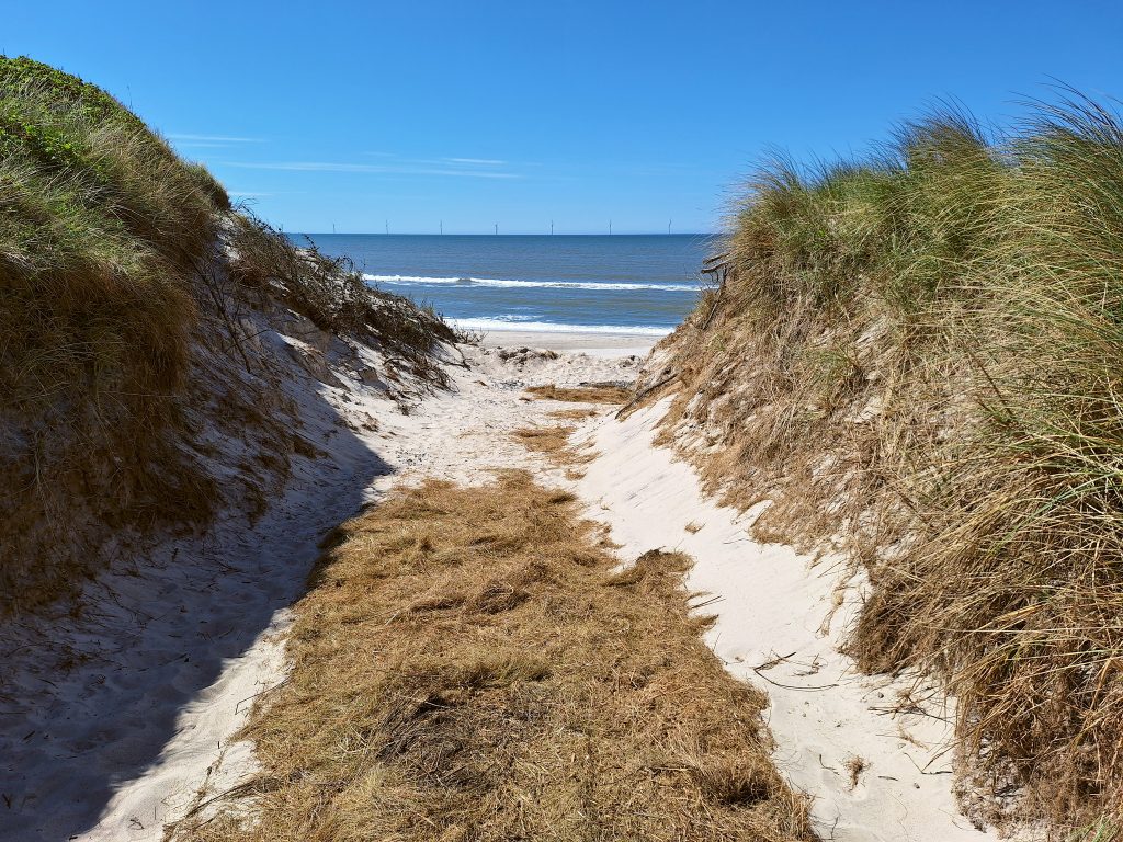 HR_2025-05-18_13-41-56_20250518_134156