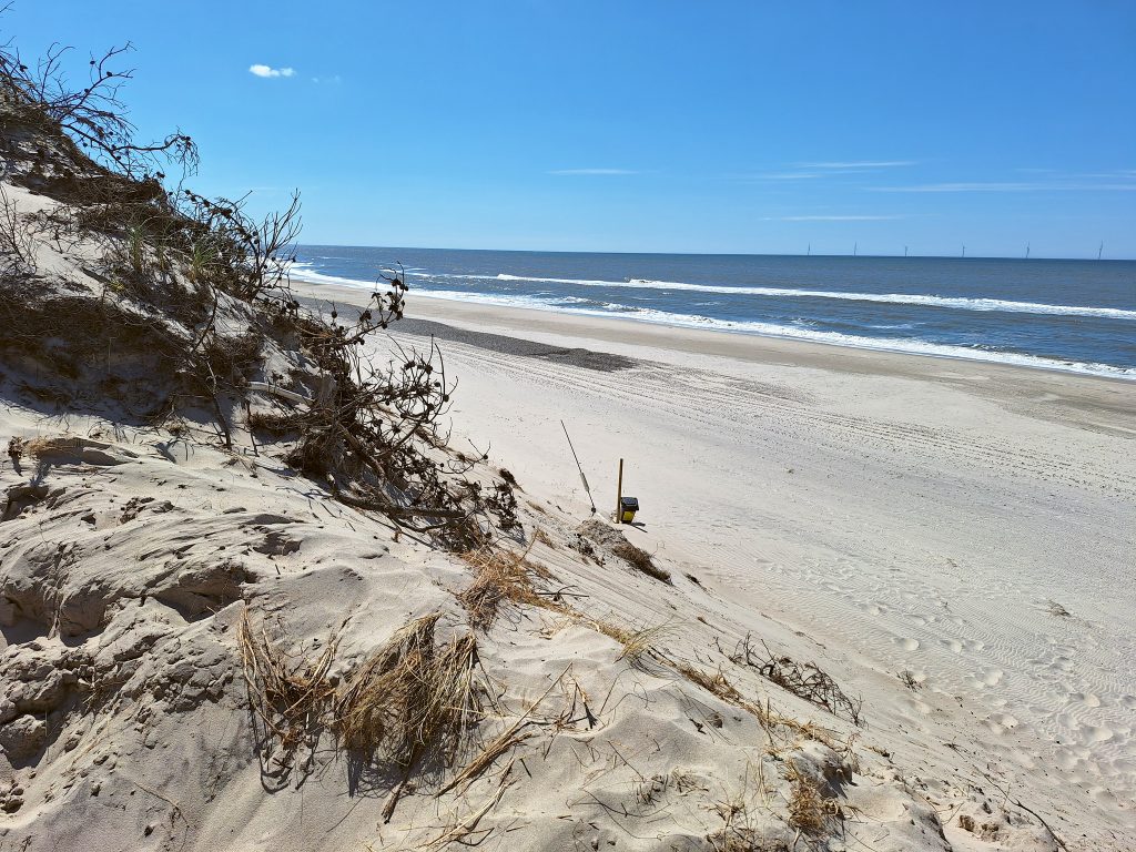 HR_2025-05-18_13-42-39_20250518_134239