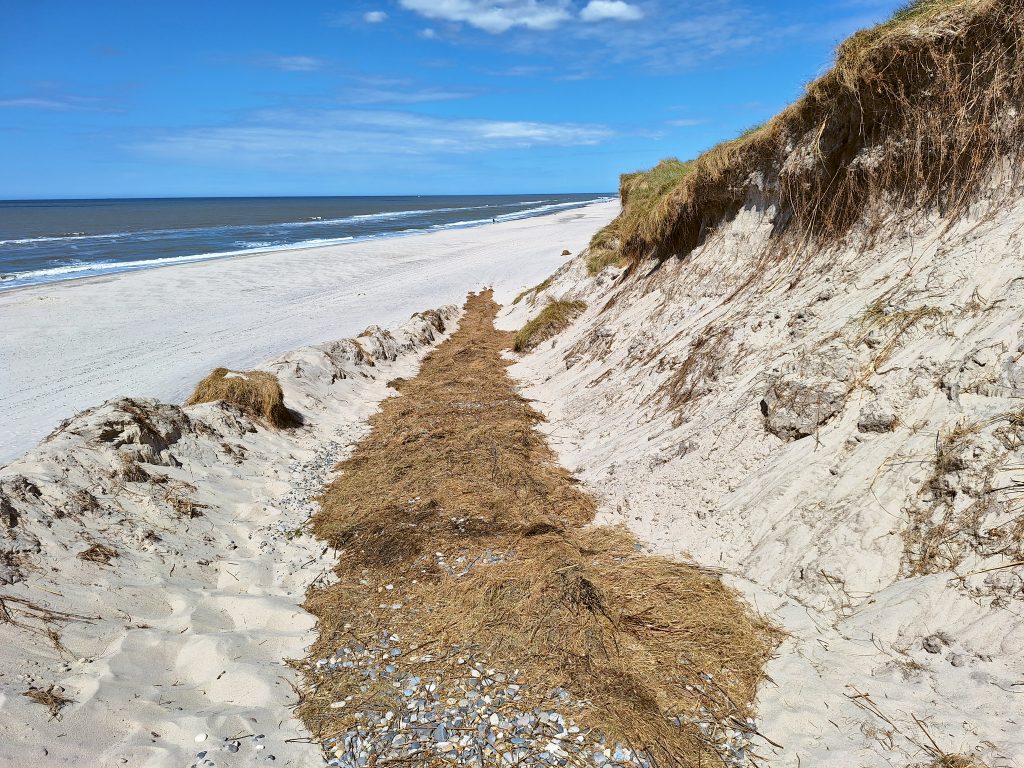 HR_2025-05-18_13-42-52_20250518_134252