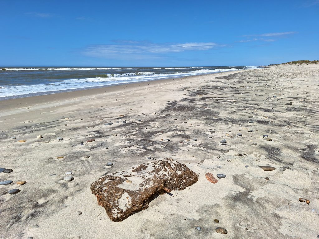 HR_2025-05-18_13-55-19_20250518_135519