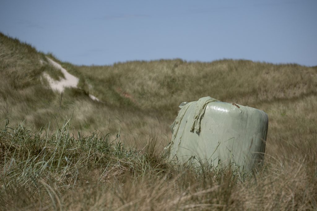 HR_2025-05-18_14-06-39_DSCF1015