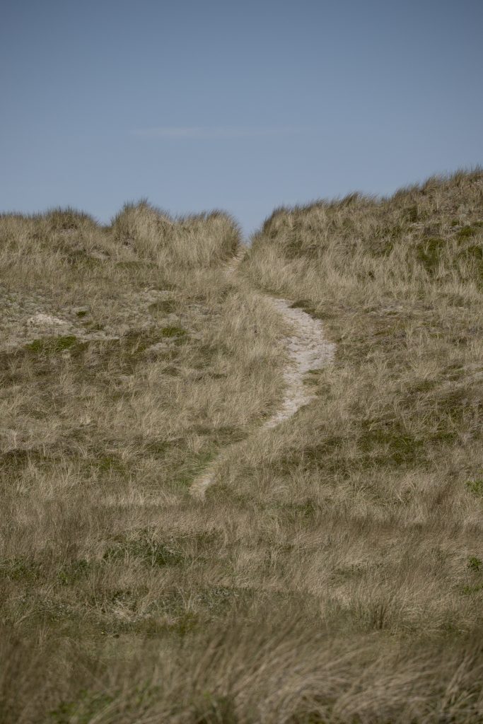 HR_2025-05-18_14-07-00_DSCF1017