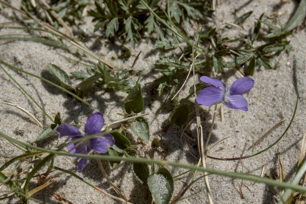 HR_2025-05-18_14-08-28_DSCF1020