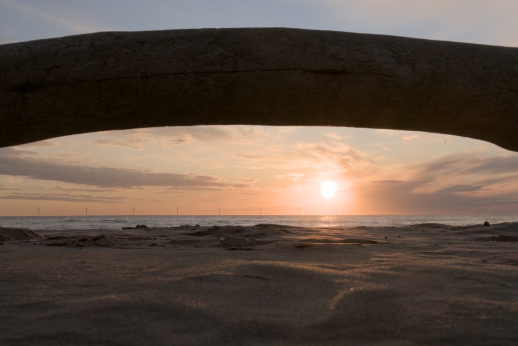 HR_2025-05-18_21-17-39_DSCF1067