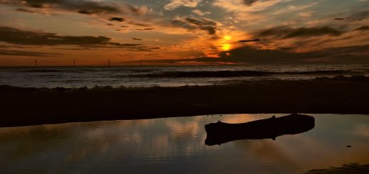 Sonnenuntergang am Strand. Im Vordergrund ein Baumstamm im Wasser.