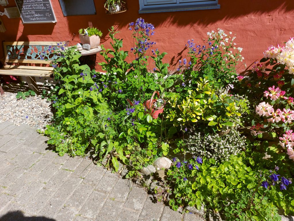 HR_2025-05-19_15-48-02_20250519_154802