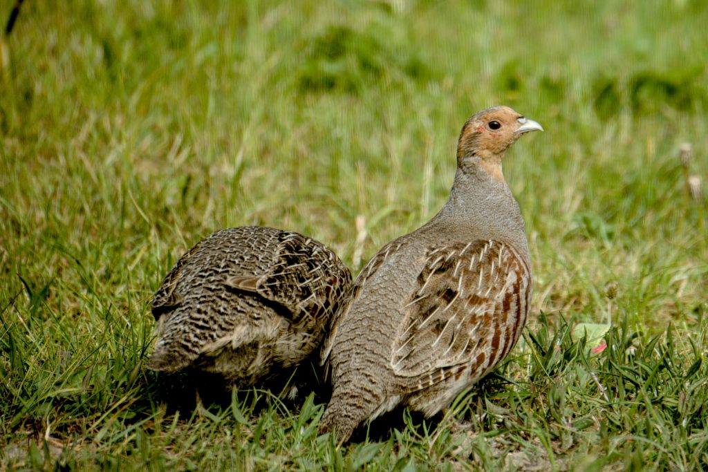 HR_2025-05-20_10-21-08_DSCF1146