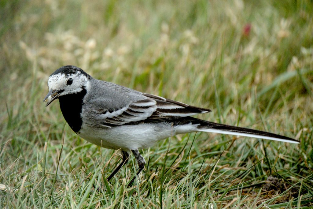 HR_2025-05-20_15-32-01_DSCF1155