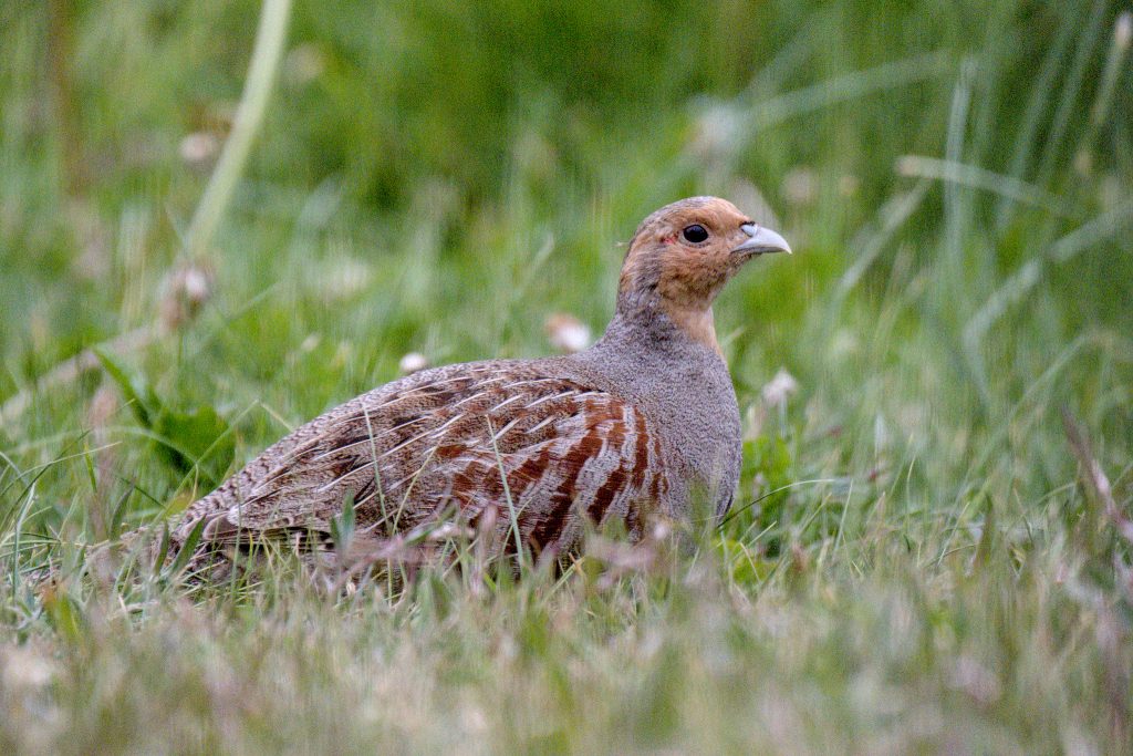 HR_2025-05-20_19-06-51_DSCF1171