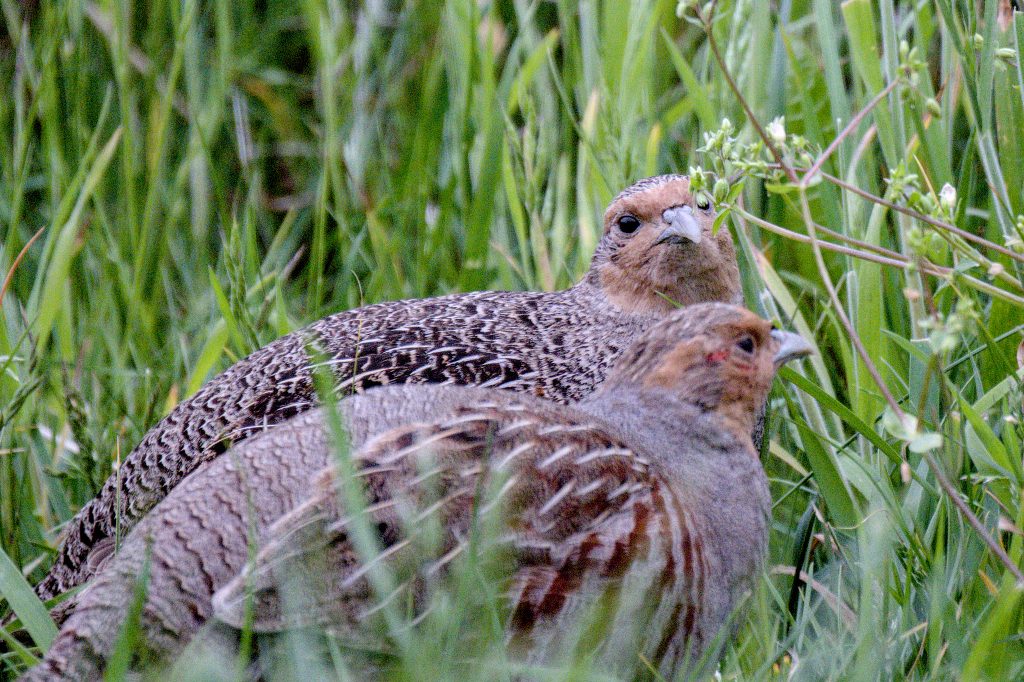 HR_2025-05-20_19-46-59_DSCF1182