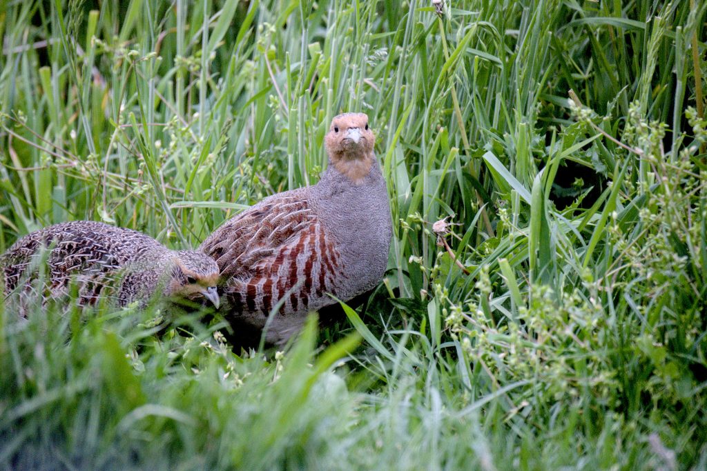 HR_2025-05-20_19-47-41_DSCF1186