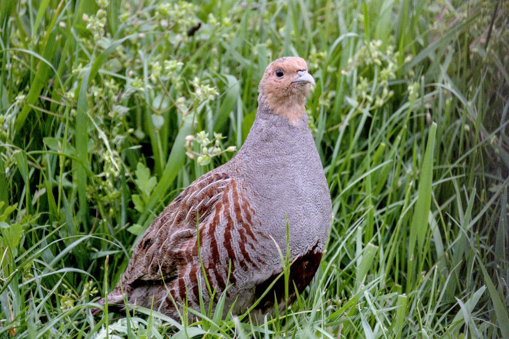 HR_2025-05-20_19-49-46_DSCF1197