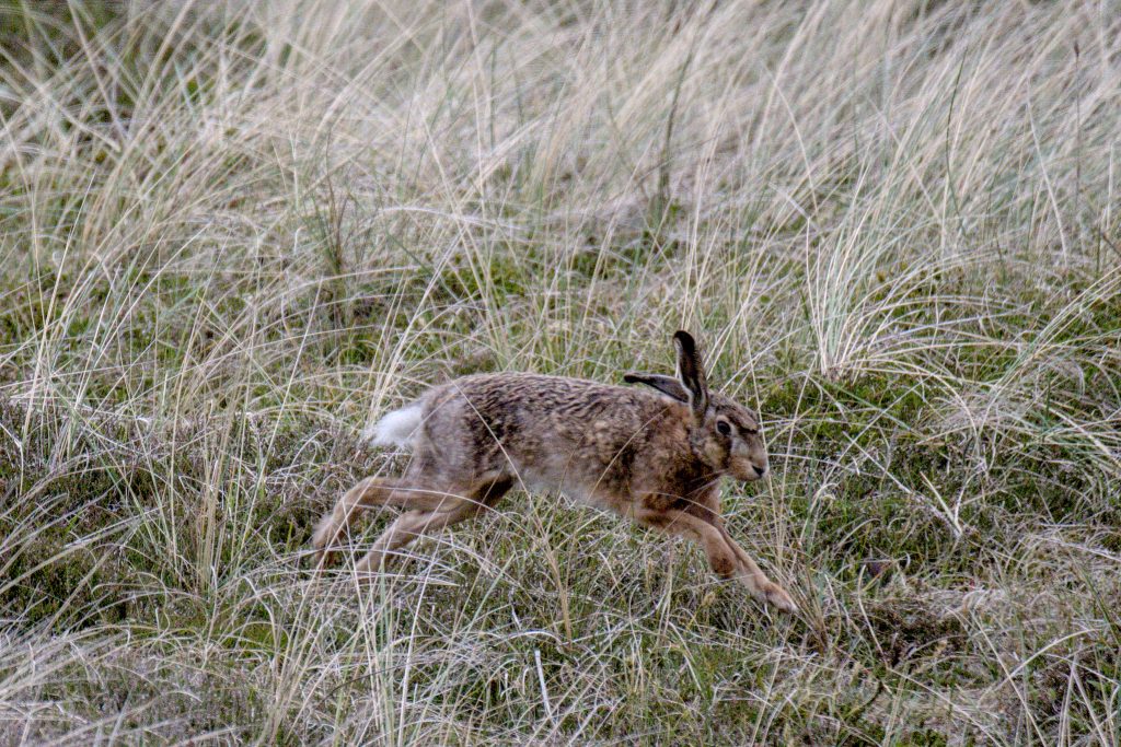 HR_2025-05-20_19-54-02_DSCF1203