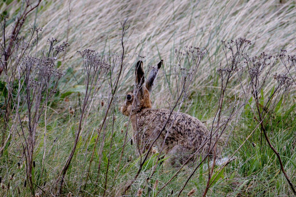 HR_2025-05-20_19-58-28_DSCF1216