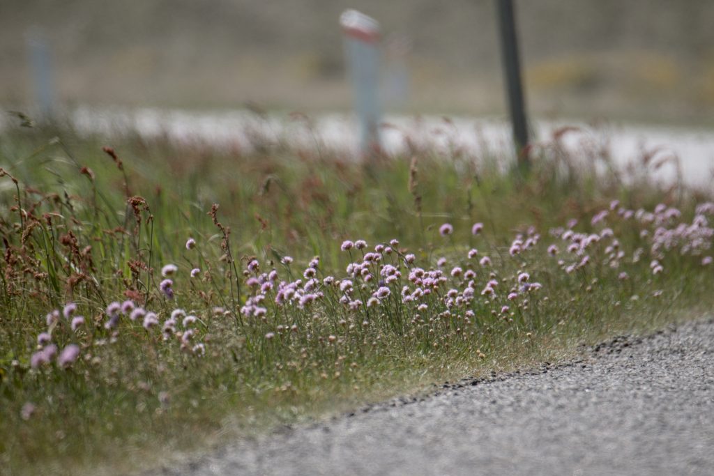 HR_2025-05-21_12-47-39_DSCF1234