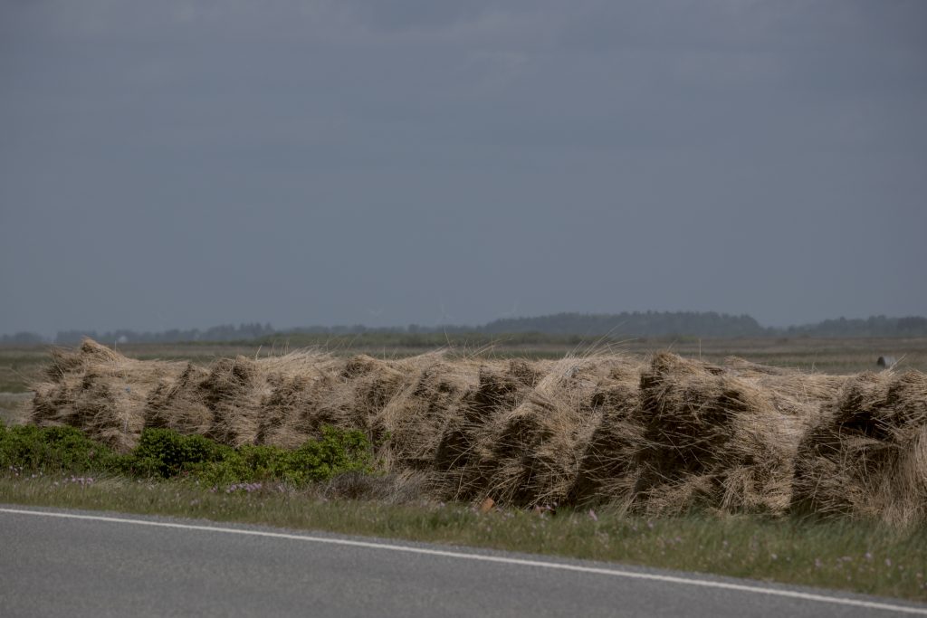 HR_2025-05-21_12-50-27_DSCF1241