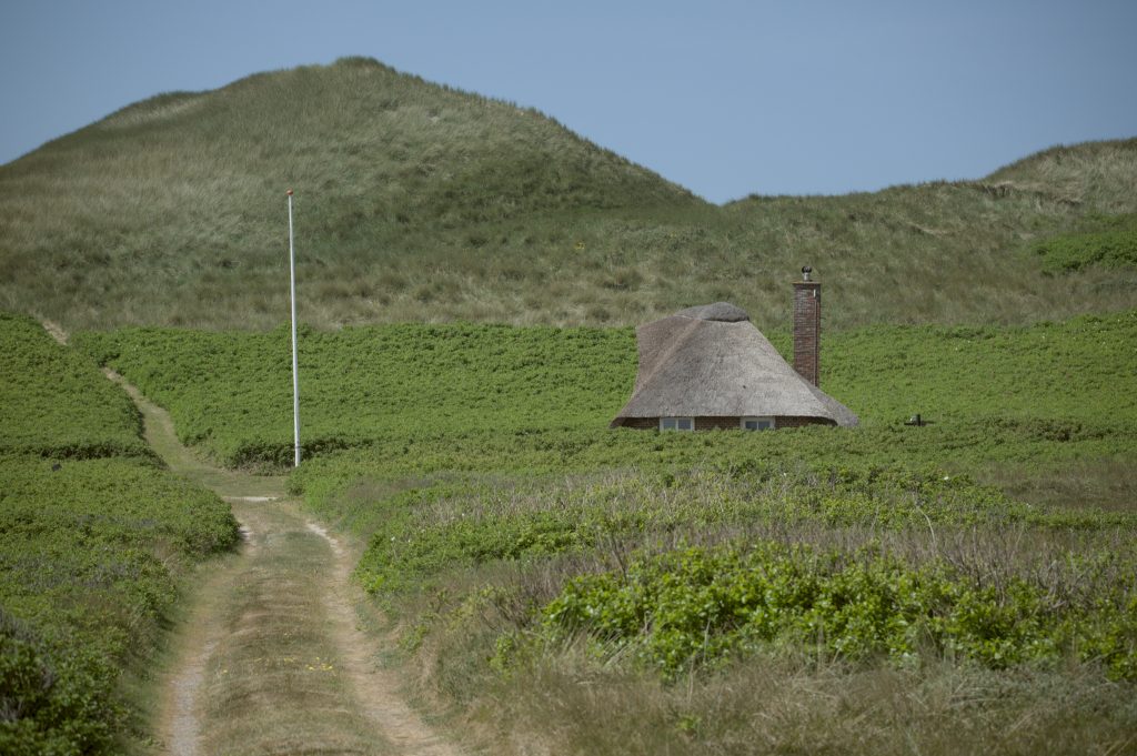 HR_2025-05-21_12-51-09_DSCF1243