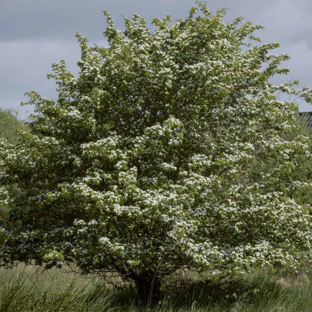 HR_2025-05-21_13-05-09_DSCF1248