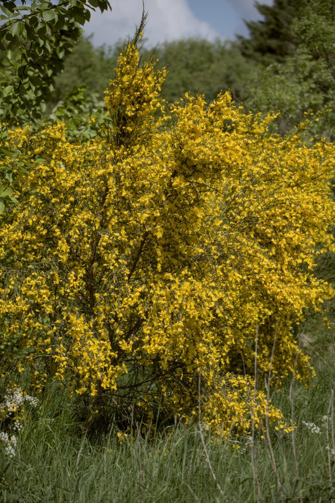 HR_2025-05-21_13-05-35_DSCF1252