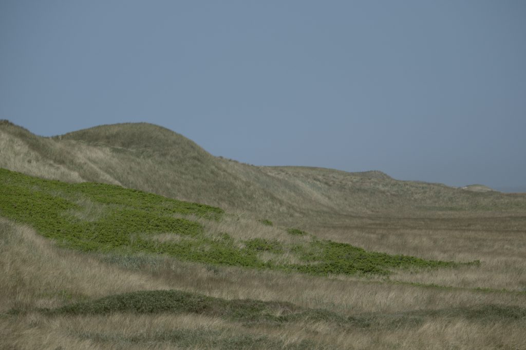 HR_2025-05-21_13-40-07_DSCF1266