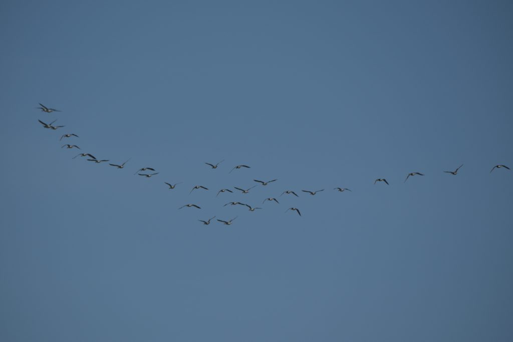 HR_2025-05-21_13-58-40_DSCF1278