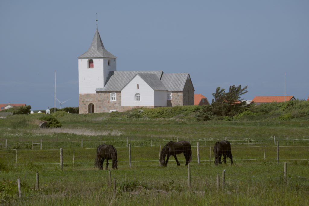 HR_2025-05-21_14-04-14_DSCF1289