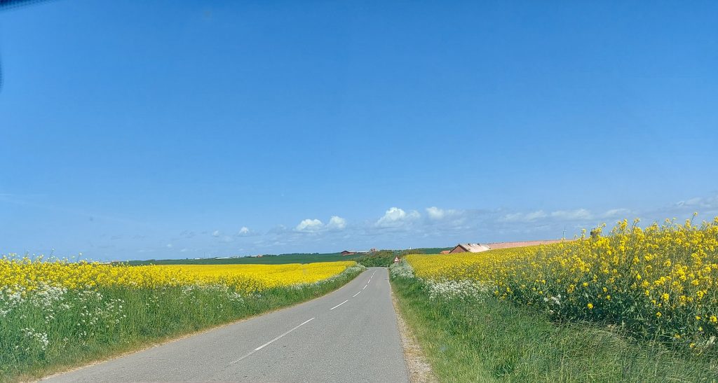 HR_2025-05-21_14-17-23_20250521_141723