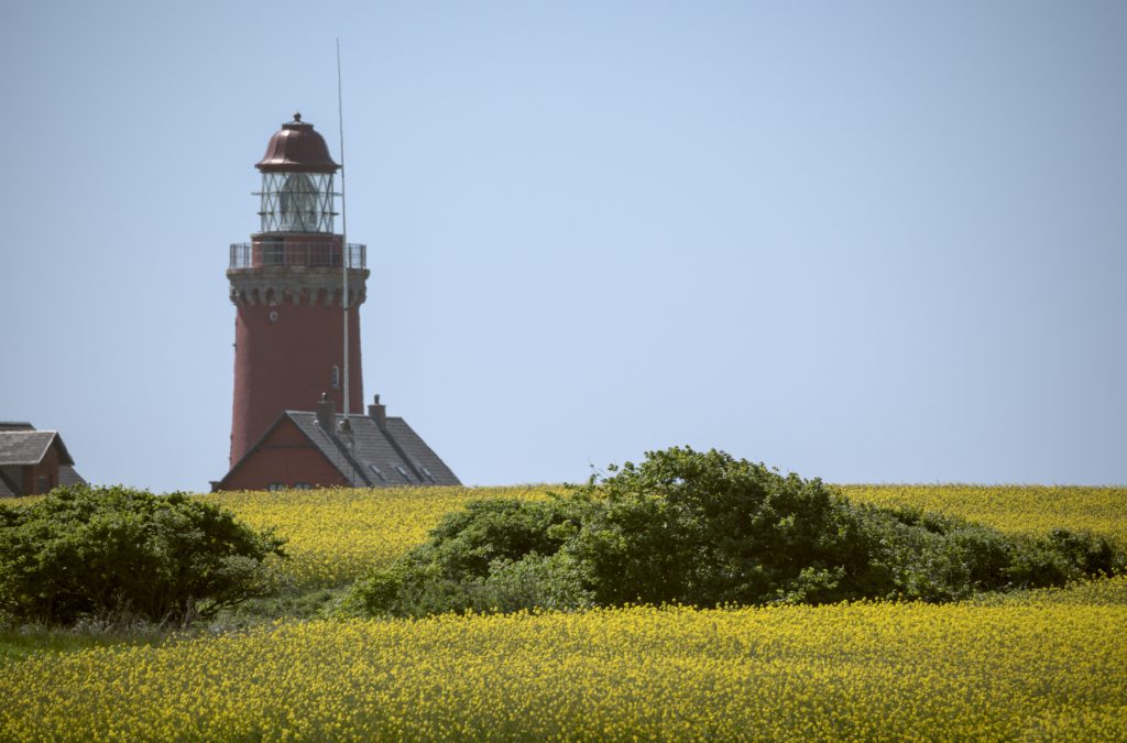 HR_2025-05-21_14-24-16_DSCF1297