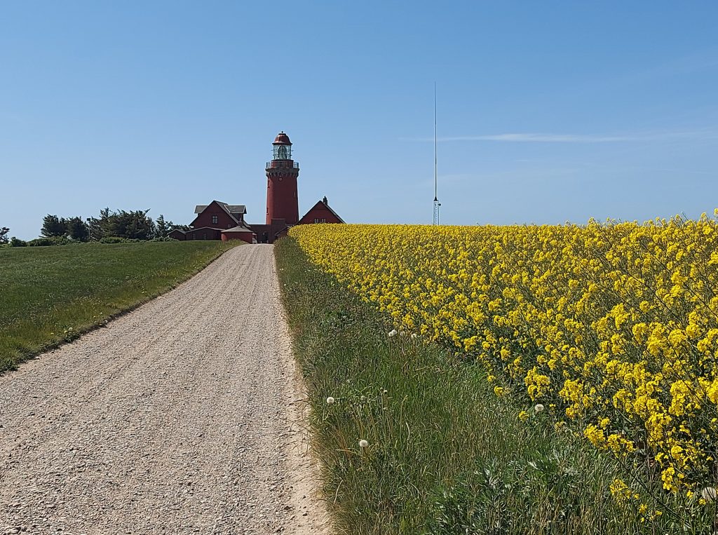 HR_2025-05-21_14-33-15_20250521_143314