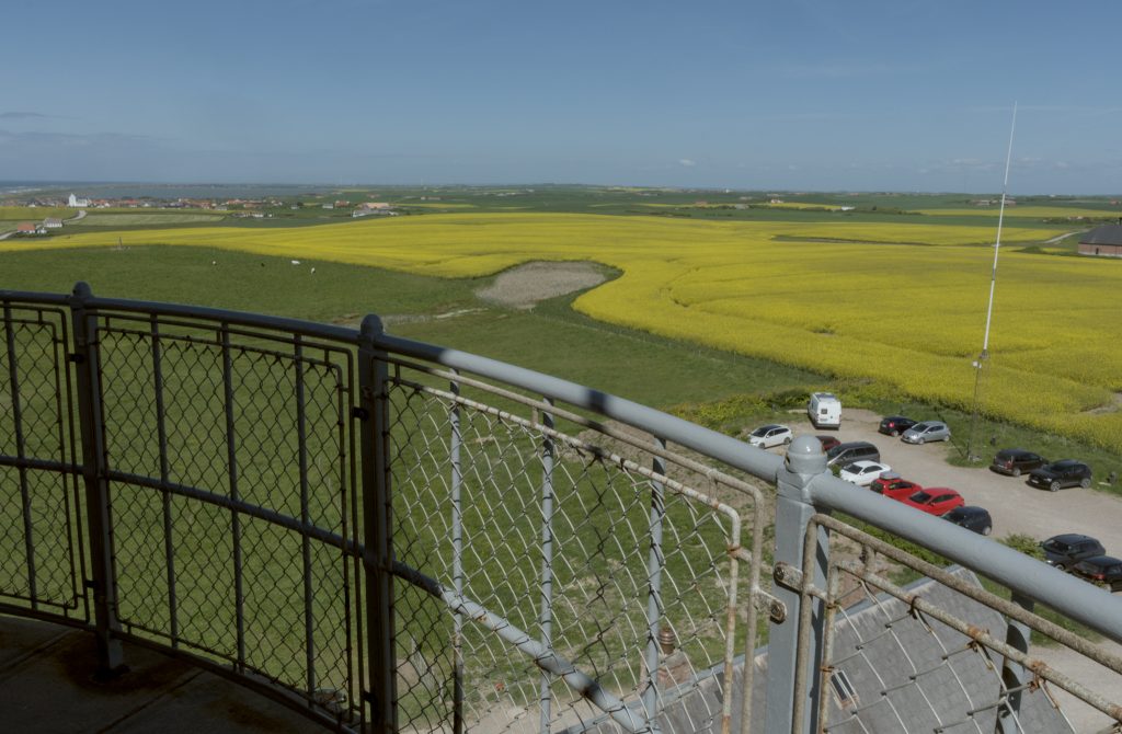 HR_2025-05-21_15-22-40_DSCF1316