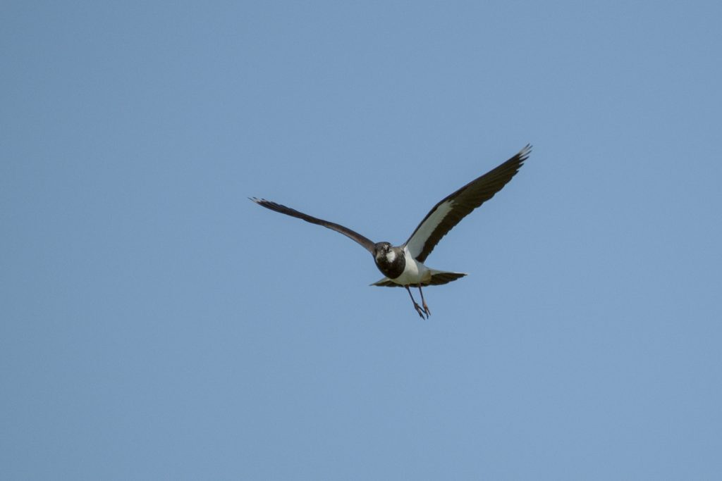 HR_2025-05-21_16-02-20_DSCF1422