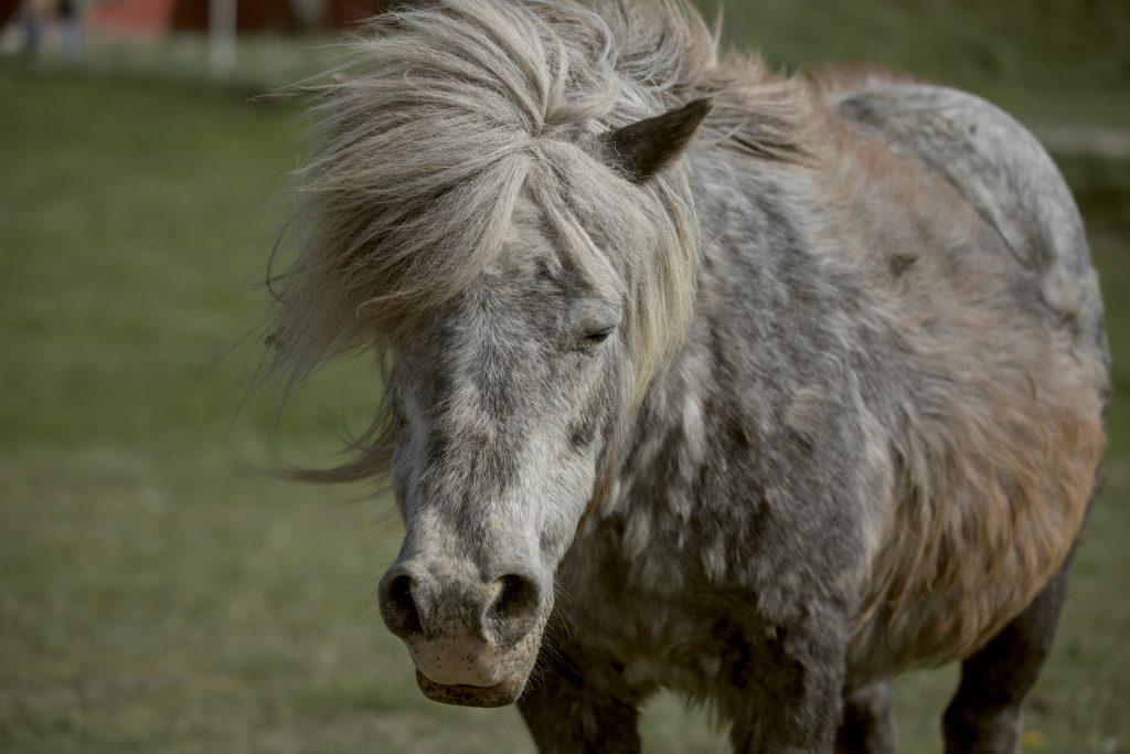 HR_2025-05-21_16-08-55_DSCF1434