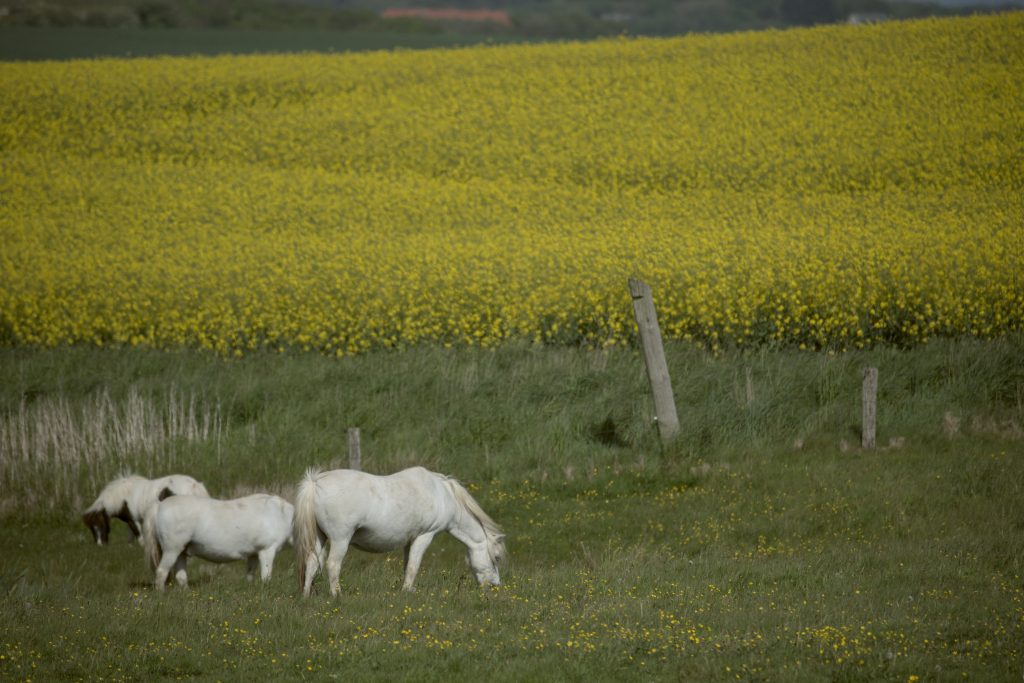 HR_2025-05-21_16-10-43_DSCF1442