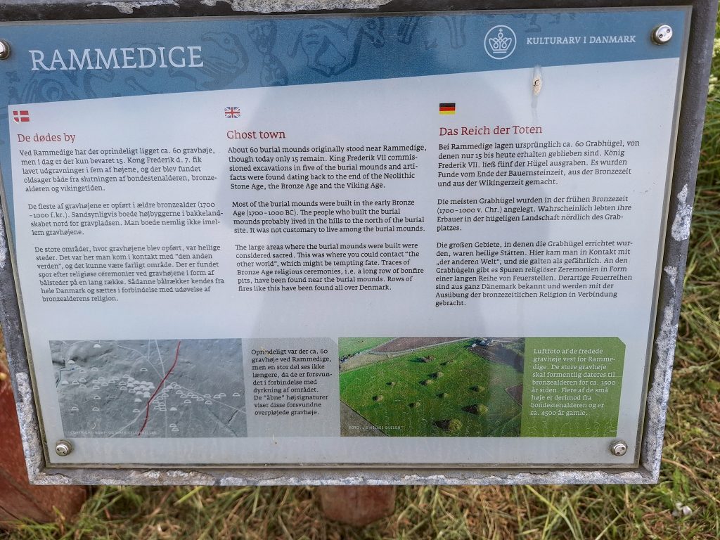 HR_2025-05-21_16-48-25_20250521_164825