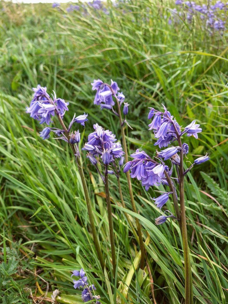 HR_2025-05-21_16-50-07_20250521_165007