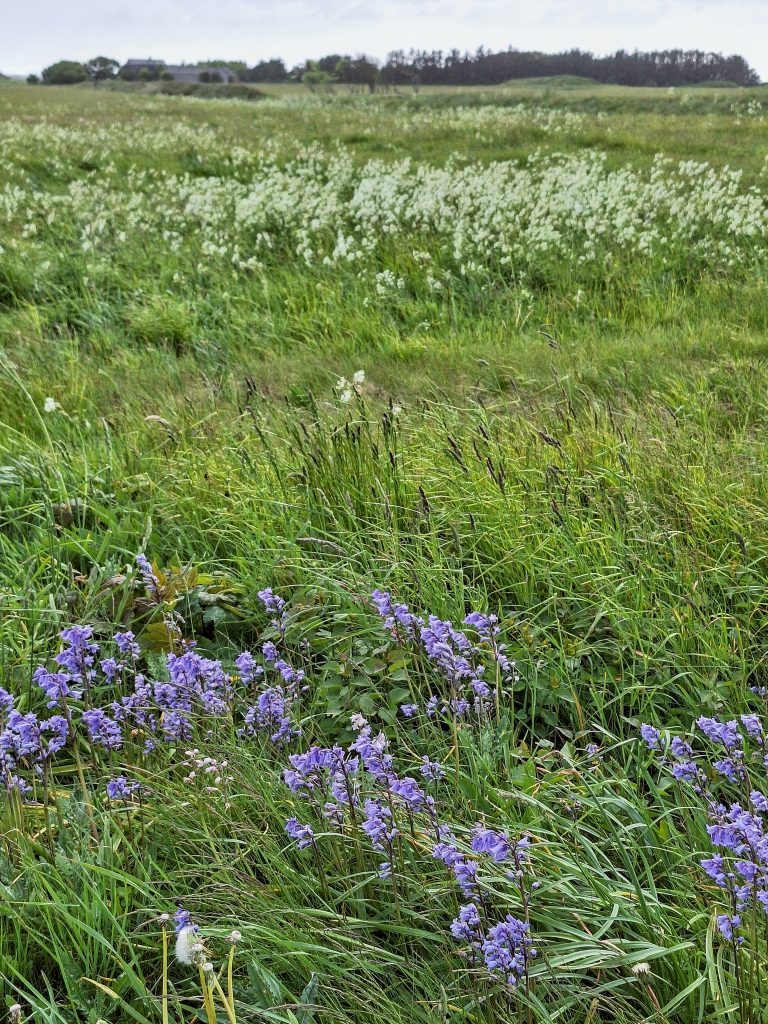 HR_2025-05-21_16-50-20_20250521_165019