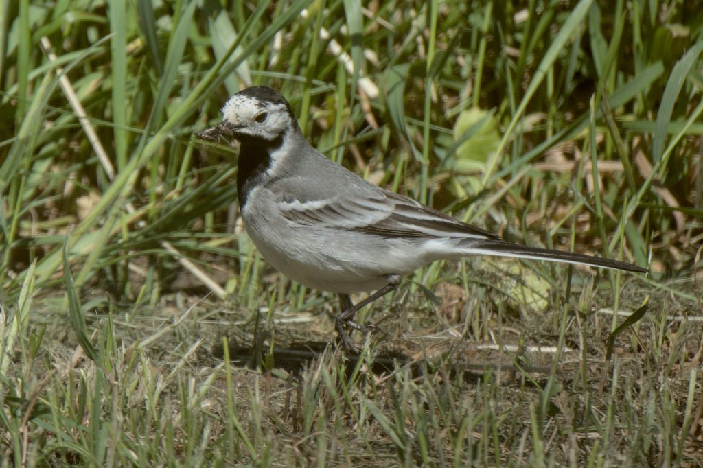 HR_2025-05-22_13-36-34_DSCF1477