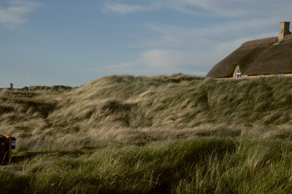 HR_2025-05-22_20-20-01_DSCF1492