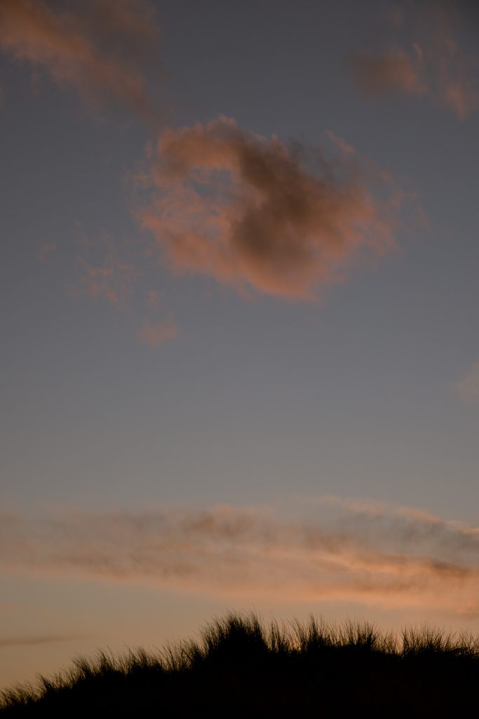 HR_2025-05-22_21-39-00_DSCF1509