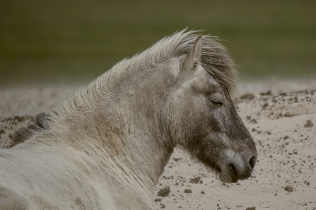 HR_2025-05-23_13-43-37_DSCF1510