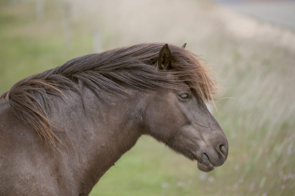 HR_2025-05-23_13-44-36_DSCF1514