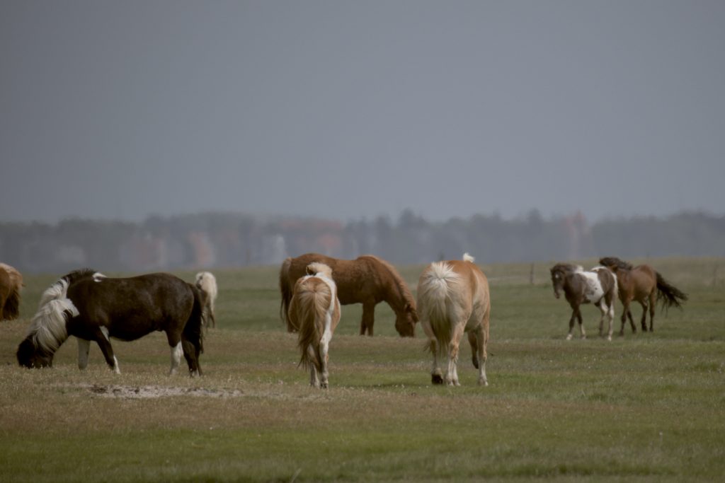 HR_2025-05-23_13-45-18_DSCF1517