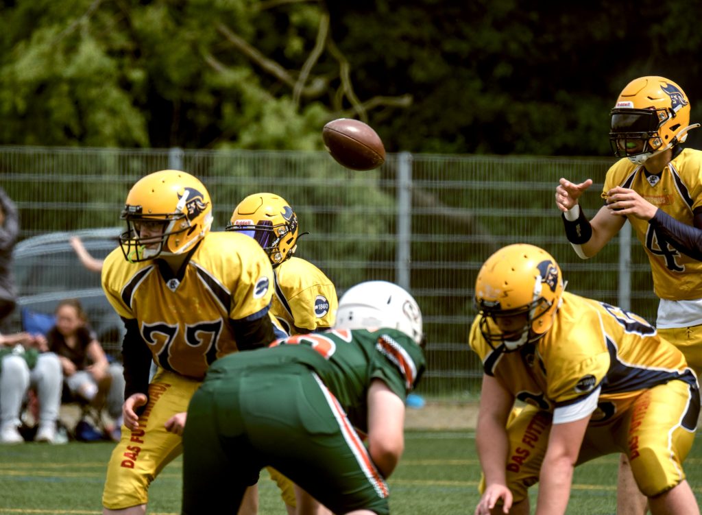 HR_2025-06-01_14-35-47_DSCF2516