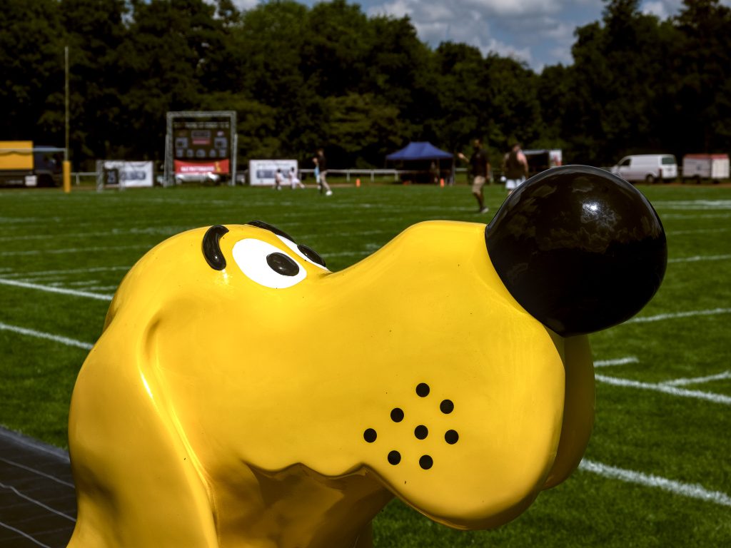 HR_2025-07-19_13-26-10_DSCF2008